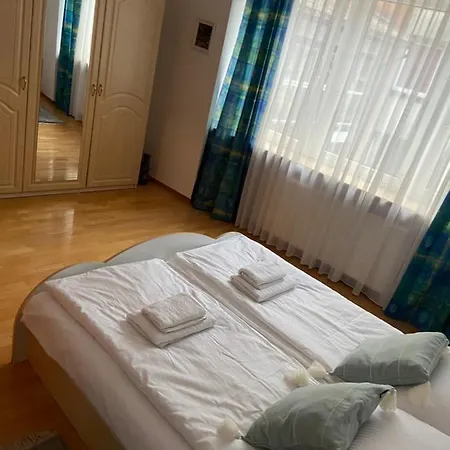 Kauris * Gdansk